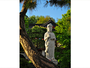 The Statue of Yeonji Gwanseum